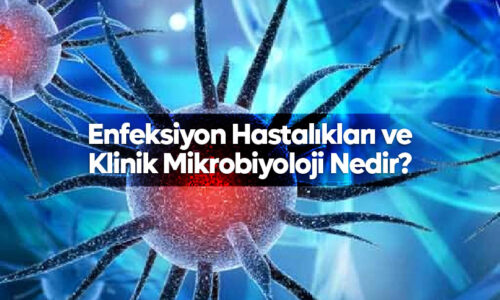 Enfeksiyon Hastalıkları ve Klinik Mikrobiyoloji Nedir