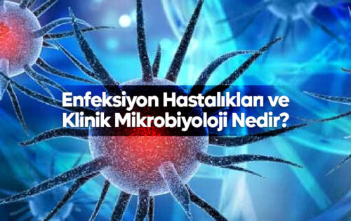 Enfeksiyon Hastalıkları ve Klinik Mikrobiyoloji Nedir