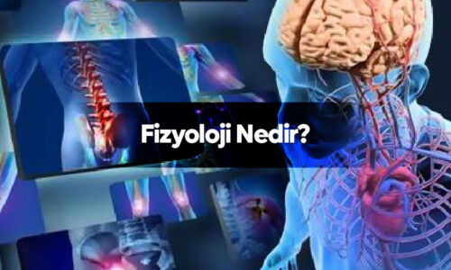 Fizyoloji Nedir