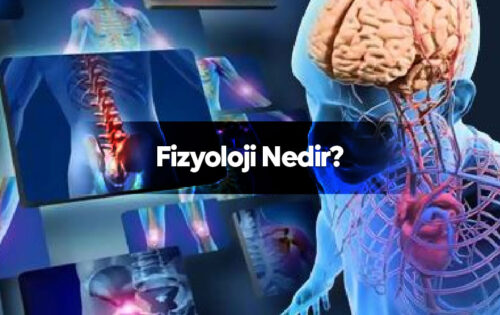 Fizyoloji Nedir