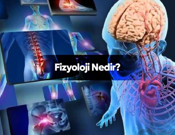 Fizyoloji Nedir