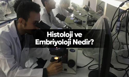 Histoloji ve Embriyoloji Nedi