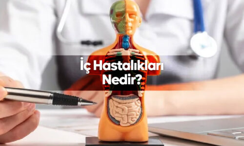 İç Hastalıkları Nedir