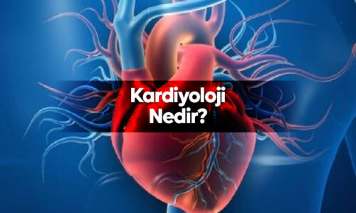 Kardiyoloji Nedir