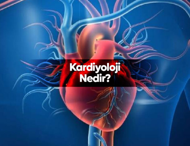 Kardiyoloji Nedir