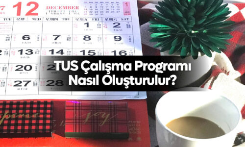 TUS Çalışma Programı Nasıl Oluşturulur