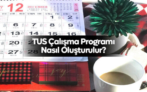 TUS Çalışma Programı Nasıl Oluşturulur