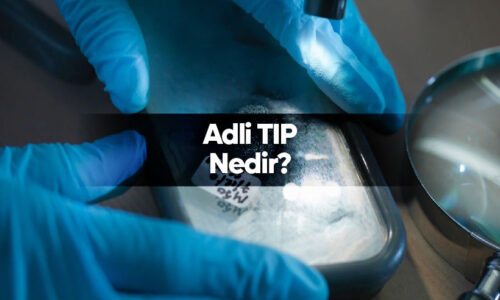 adli tıp nedir