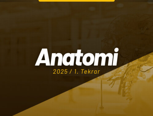 Anatomi Ders Kapağı
